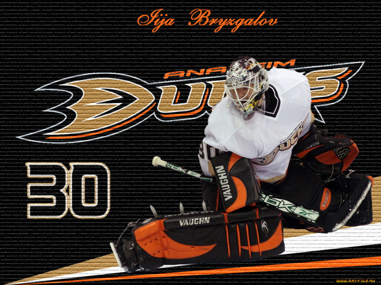 , 30, , nhl